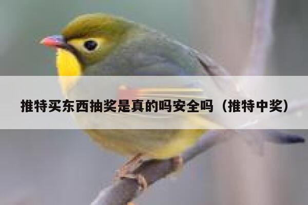 推特买东西抽奖是真的吗安全吗（推特中奖） 第1张