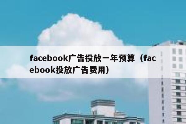 facebook广告投放一年预算(facebook投放广告费用) 第1张 facebook广告投放一年预算(facebook投放广告费用) 第1张