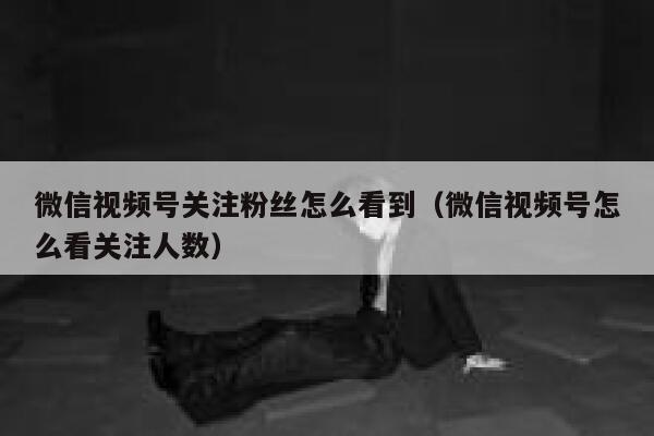 微信视频号关注粉丝怎么看到（微信视频号怎么看关注人数） 第1张
