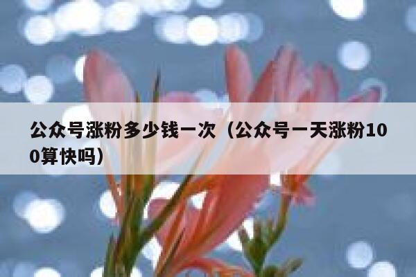 公众号涨粉多少钱一次（公众号一天涨粉100算快吗） 第1张