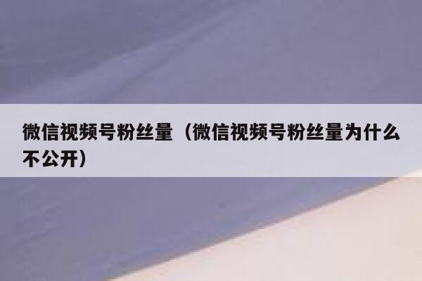 微信视频号粉丝量(微信视频号粉丝量为什么不公开) 第1张 微信视频号粉丝量(微信视频号粉丝量为什么不公开) 第1张