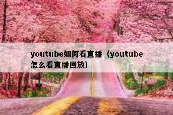 youtube如何看直播（youtube怎么看直播回放） 第1张