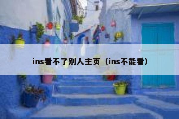ins看不了别人主页(ins不能看) 第1张 ins看不了别人主页(ins不能看) 第1张