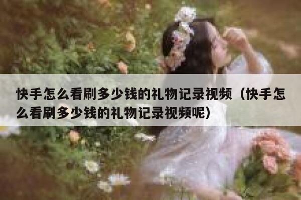 快手怎么看刷多少钱的礼物记录视频（快手怎么看刷多少钱的礼物记录视频呢） 第1张