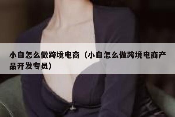 小白怎么做跨境电商（小白怎么做跨境电商产品开发专员） 第1张