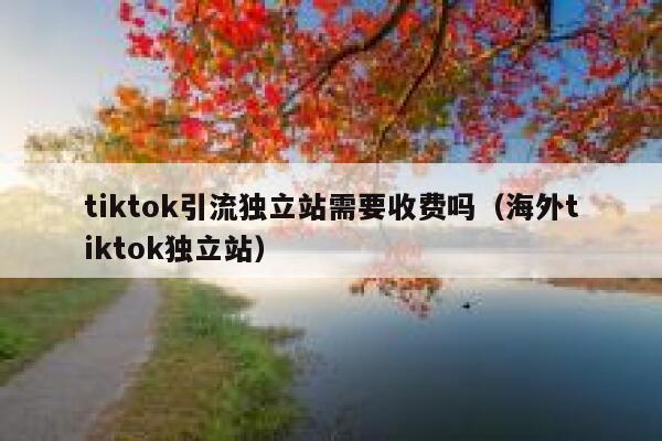 tiktok引流独立站需要收费吗（海外tiktok独立站） 第1张