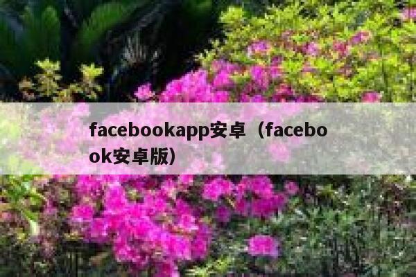 facebookapp安卓（facebook安卓版） 第1张
