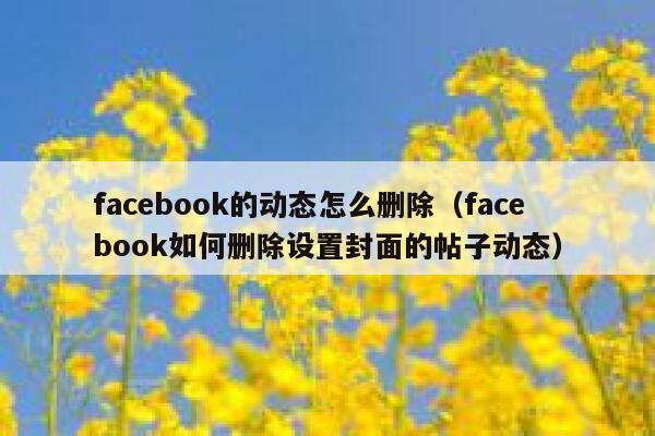facebook的动态怎么删除（facebook如何删除设置封面的帖子动态） 第1张