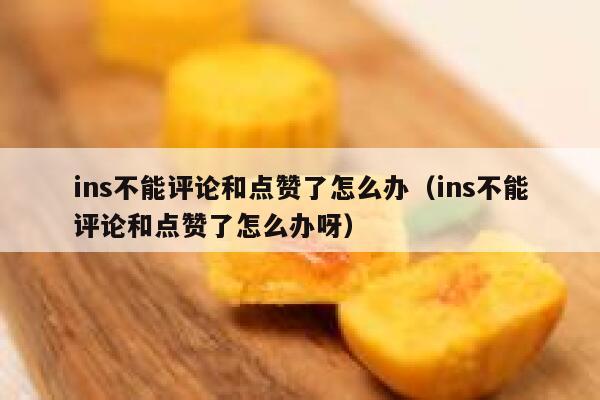 ins不能评论和点赞了怎么办(ins不能评论和点赞了怎么办呀) 第1张 ins不能评论和点赞了怎么办(ins不能评论和点赞了怎么办呀) 第1张