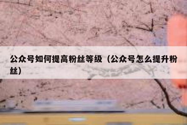 公众号如何提高粉丝等级（公众号怎么提升粉丝） 第1张