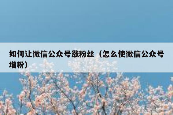 如何让微信公众号涨粉丝（怎么使微信公众号增粉） 第1张