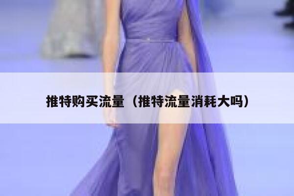 推特购买流量（推特流量消耗大吗） 第1张