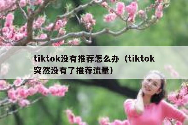 tiktok没有推荐怎么办（tiktok突然没有了推荐流量） 第1张