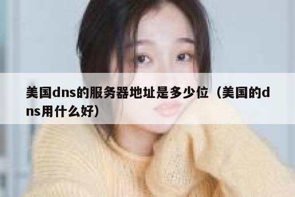 美国dns的服务器地址是多少位（美国的dns用什么好） 第1张