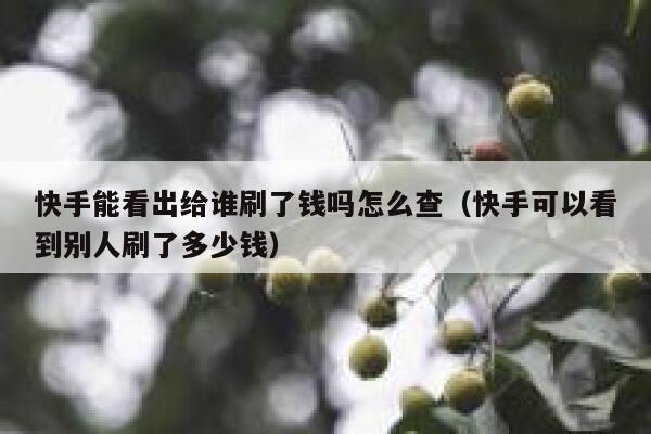快手能看出给谁刷了钱吗怎么查（快手可以看到别人刷了多少钱） 第1张