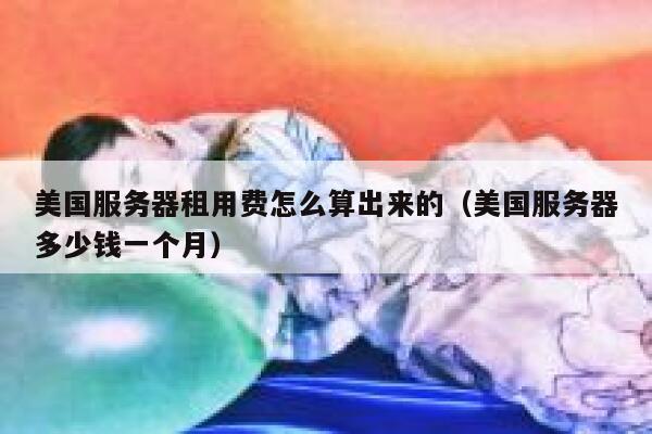 美国服务器租用费怎么算出来的（美国服务器多少钱一个月） 第1张