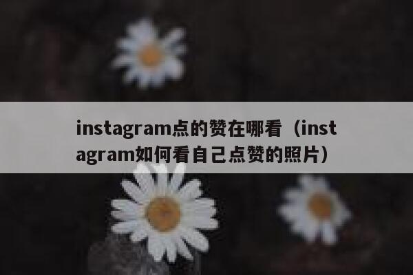instagram点的赞在哪看（instagram如何看自己点赞的照片） 第1张