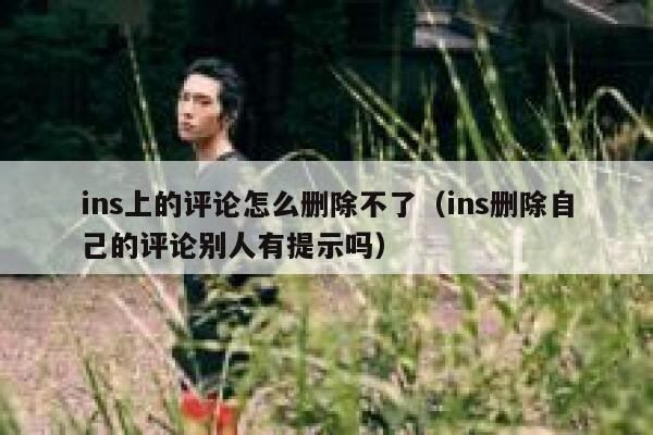ins上的评论怎么删除不了（ins删除自己的评论别人有提示吗） 第1张