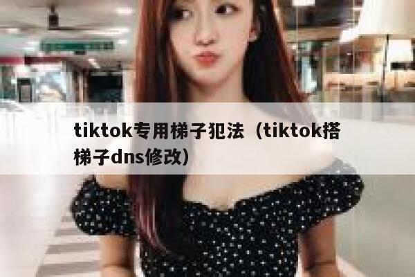 tiktok专用梯子犯法（tiktok搭梯子dns修改） 第1张
