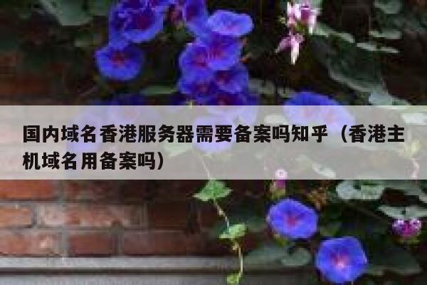 国内域名香港服务器需要备案吗知乎（香港主机域名用备案吗） 第1张