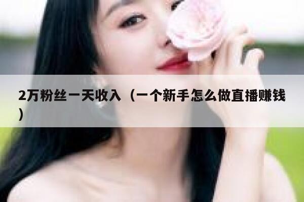 2万粉丝一天收入（一个新手怎么做直播赚钱） 第1张