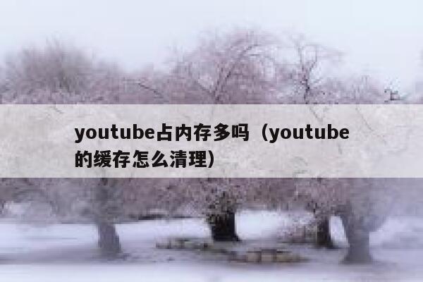 youtube占内存多吗（youtube的缓存怎么清理） 第1张