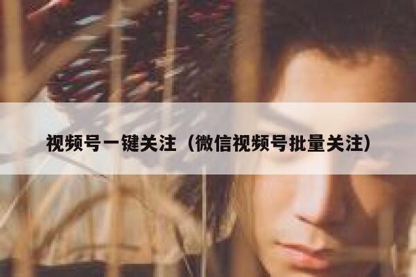 视频号一键关注（微信视频号批量关注） 第1张