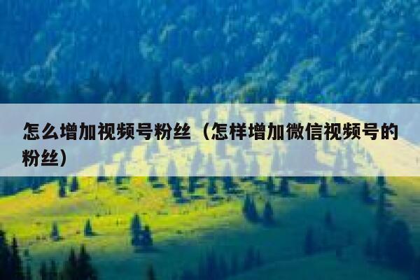 怎么增加视频号粉丝（怎样增加微信视频号的粉丝） 第1张