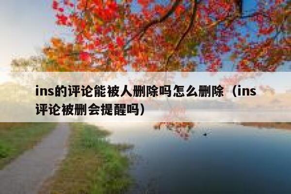 ins的评论能被人删除吗怎么删除（ins评论被删会提醒吗） 第1张