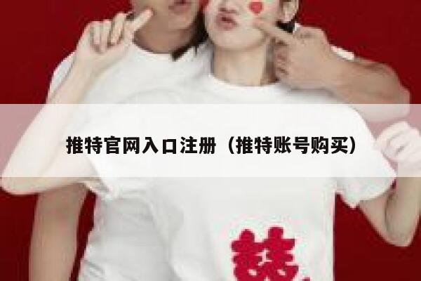 推特官网入口注册（推特账号购买） 第1张