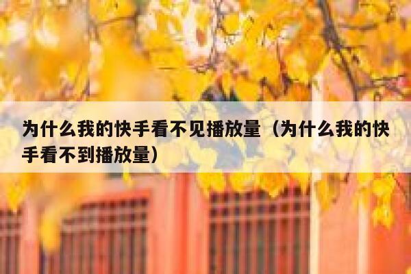 为什么我的快手看不见播放量（为什么我的快手看不到播放量） 第1张