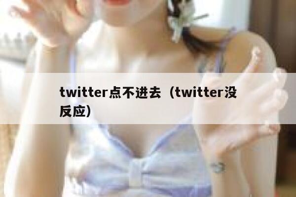 twitter点不进去（twitter没反应） 第1张