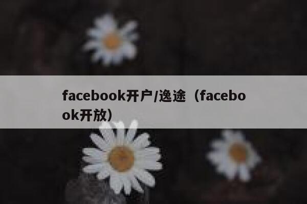 facebook开户/逸途（facebook开放） 第1张