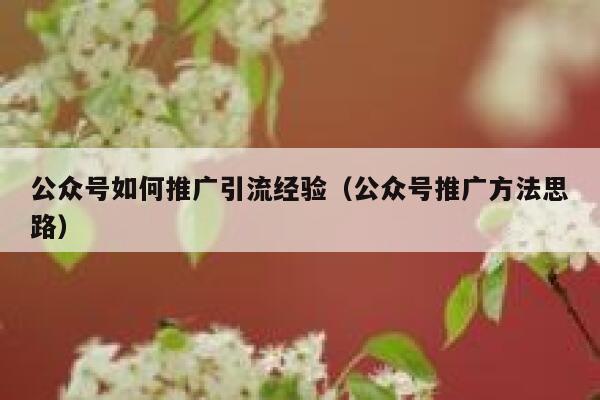 公众号如何推广引流经验（公众号推广方法思路） 第1张