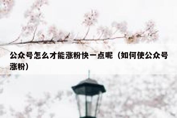 公众号怎么才能涨粉快一点呢（如何使公众号涨粉） 第1张