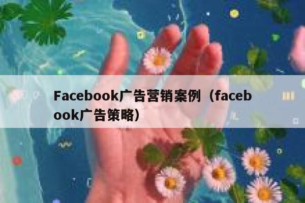 Facebook广告营销案例(facebook广告策略) 第1张 Facebook广告营销案例(facebook广告策略) 第1张