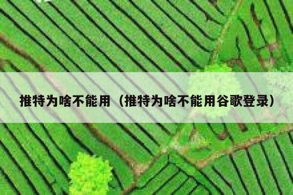 推特为啥不能用（推特为啥不能用谷歌登录） 第1张