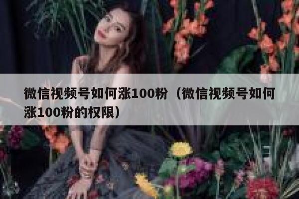 微信视频号如何涨100粉（微信视频号如何涨100粉的权限） 第1张