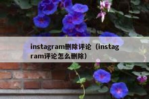 instagram删除评论（instagram评论怎么删除） 第1张