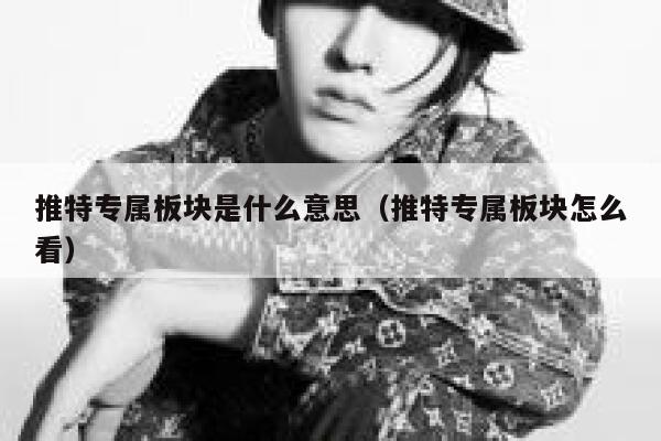 推特专属板块是什么意思（推特专属板块怎么看） 第1张