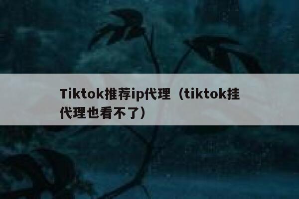 Tiktok推荐ip代理（tiktok挂代理也看不了） 第1张