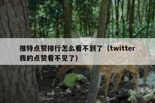 推特点赞排行怎么看不到了（twitter我的点赞看不见了） 第1张