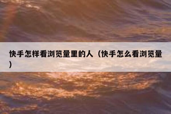 快手怎样看浏览量里的人（快手怎么看浏览量） 第1张