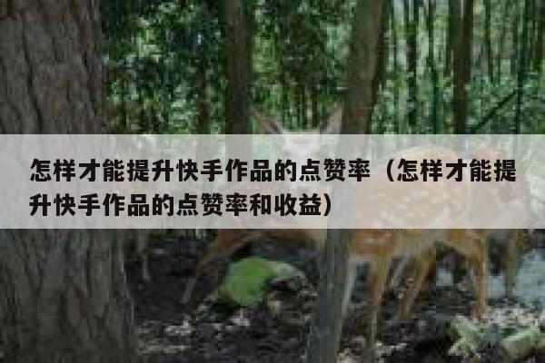 怎样才能提升快手作品的点赞率（怎样才能提升快手作品的点赞率和收益） 第1张