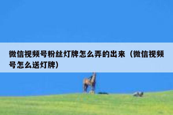 微信视频号粉丝灯牌怎么弄的出来（微信视频号怎么送灯牌） 第1张
