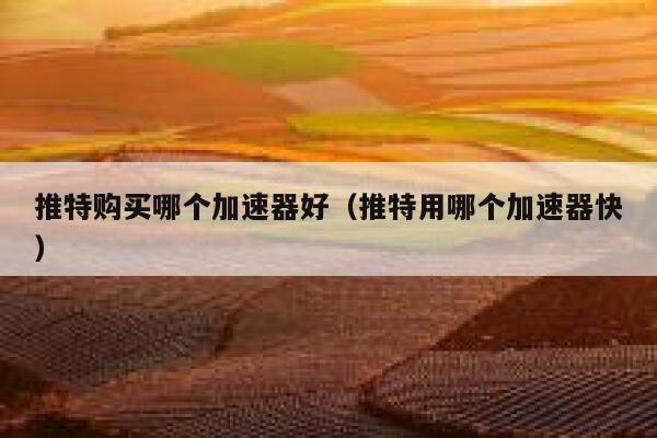 推特购买哪个加速器好（推特用哪个加速器快） 第1张