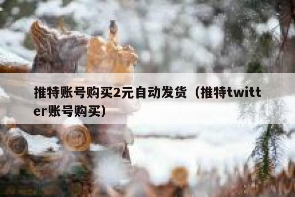 推特账号购买2元自动发货（推特twitter账号购买） 第1张