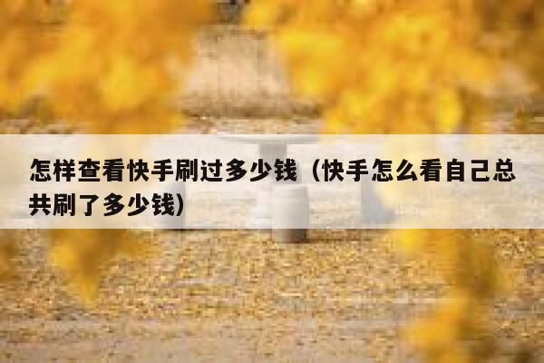 怎样查看快手刷过多少钱（快手怎么看自己总共刷了多少钱） 第1张