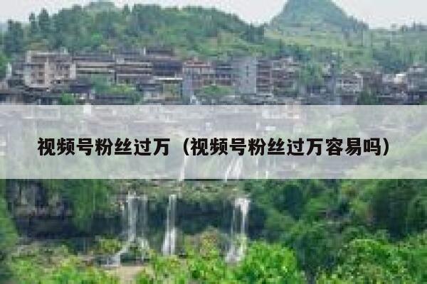 视频号粉丝过万（视频号粉丝过万容易吗） 第1张