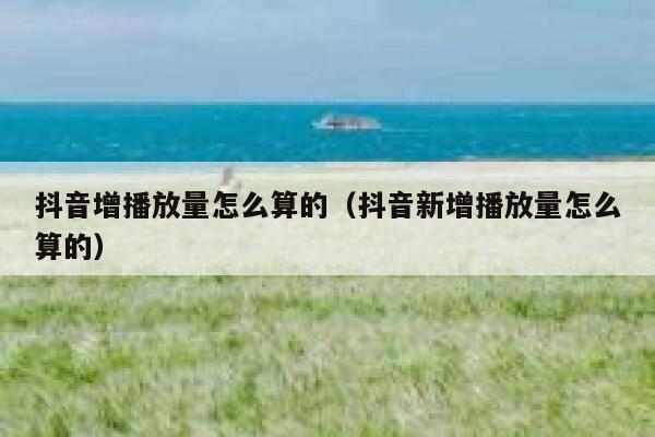 抖音增播放量怎么算的（抖音新增播放量怎么算的） 第1张